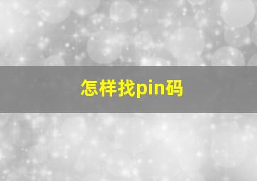 怎样找pin码