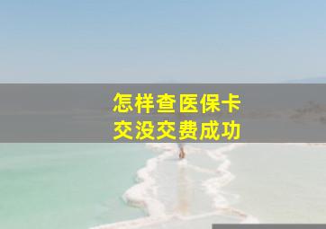 怎样查医保卡交没交费成功