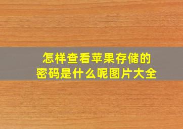 怎样查看苹果存储的密码是什么呢图片大全