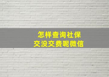 怎样查询社保交没交费呢微信