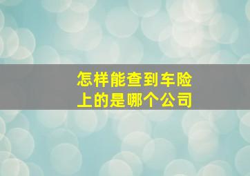 怎样能查到车险上的是哪个公司