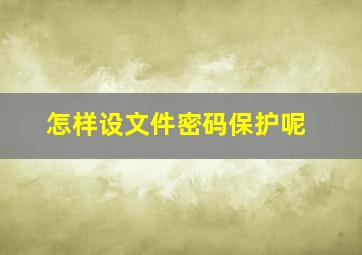 怎样设文件密码保护呢