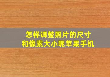 怎样调整照片的尺寸和像素大小呢苹果手机