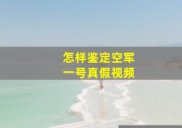 怎样鉴定空军一号真假视频