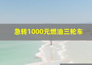 急转1000元燃油三轮车