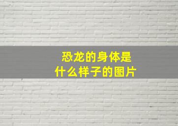 恐龙的身体是什么样子的图片