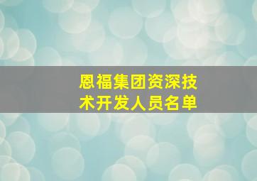 恩福集团资深技术开发人员名单