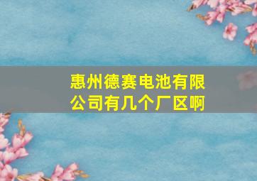 惠州德赛电池有限公司有几个厂区啊