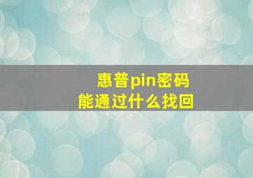 惠普pin密码能通过什么找回