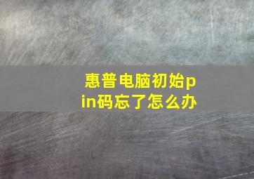 惠普电脑初始pin码忘了怎么办