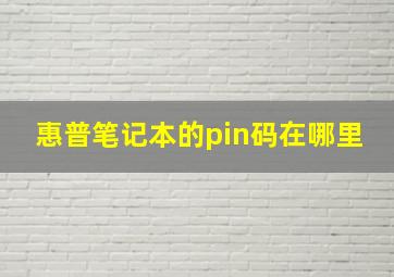 惠普笔记本的pin码在哪里