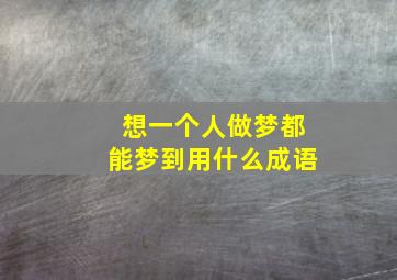 想一个人做梦都能梦到用什么成语