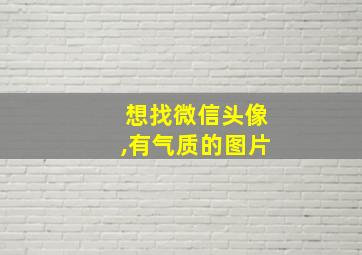 想找微信头像,有气质的图片