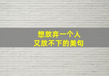 想放弃一个人又放不下的美句