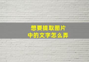 想要提取图片中的文字怎么弄