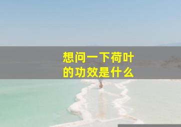 想问一下荷叶的功效是什么