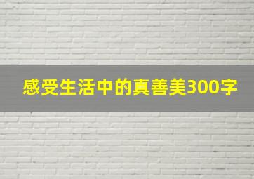 感受生活中的真善美300字