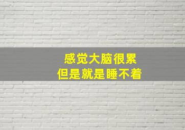 感觉大脑很累但是就是睡不着