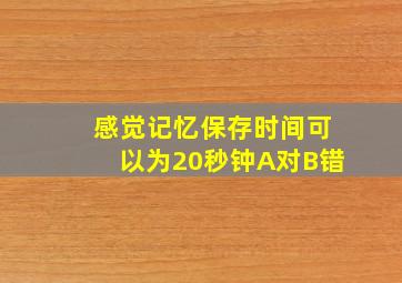 感觉记忆保存时间可以为20秒钟A对B错