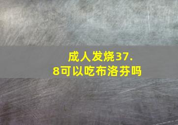 成人发烧37.8可以吃布洛芬吗