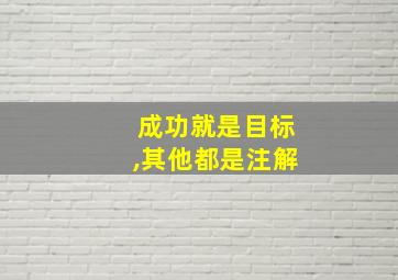 成功就是目标,其他都是注解