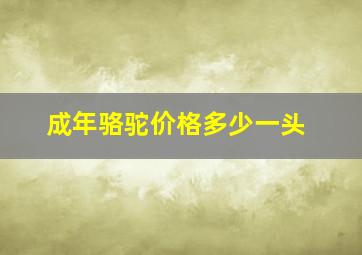 成年骆驼价格多少一头