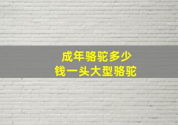 成年骆驼多少钱一头大型骆驼