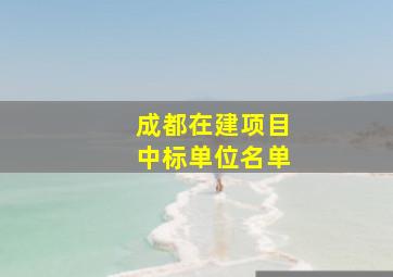 成都在建项目中标单位名单