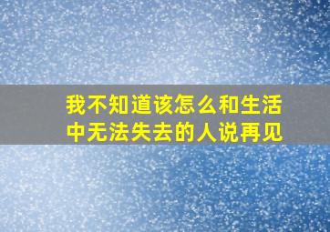 我不知道该怎么和生活中无法失去的人说再见