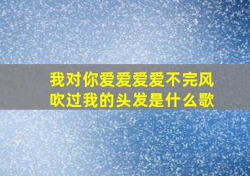 我对你爱爱爱爱不完风吹过我的头发是什么歌