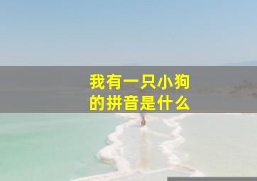 我有一只小狗的拼音是什么