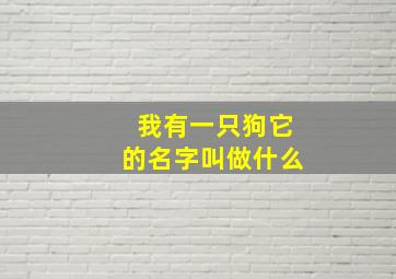 我有一只狗它的名字叫做什么