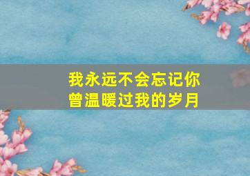 我永远不会忘记你曾温暖过我的岁月