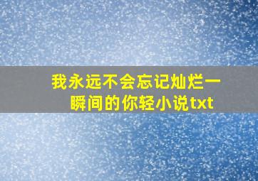 我永远不会忘记灿烂一瞬间的你轻小说txt