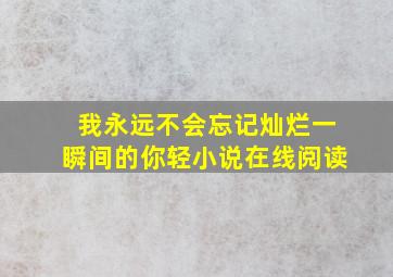 我永远不会忘记灿烂一瞬间的你轻小说在线阅读