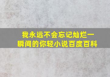 我永远不会忘记灿烂一瞬间的你轻小说百度百科