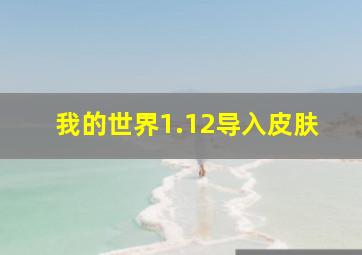 我的世界1.12导入皮肤