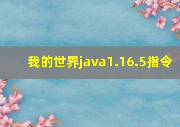 我的世界java1.16.5指令