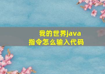 我的世界java指令怎么输入代码