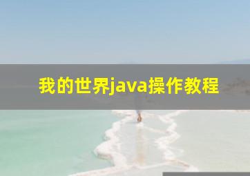 我的世界java操作教程