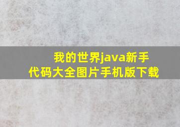 我的世界java新手代码大全图片手机版下载