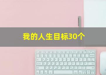 我的人生目标30个