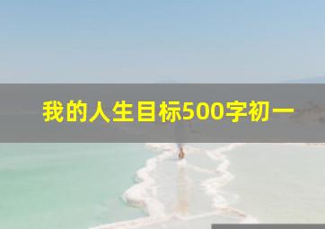 我的人生目标500字初一