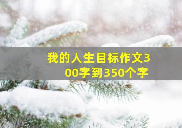 我的人生目标作文300字到350个字