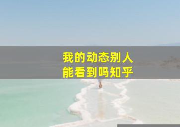 我的动态别人能看到吗知乎