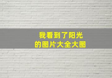 我看到了阳光的图片大全大图