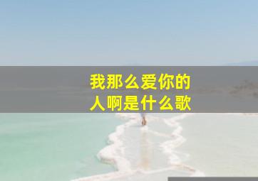 我那么爱你的人啊是什么歌