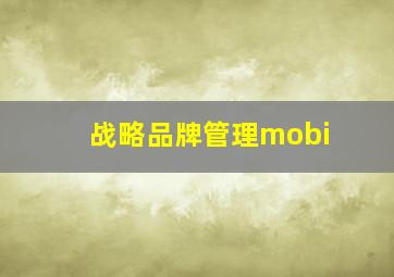 战略品牌管理mobi