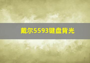 戴尔5593键盘背光