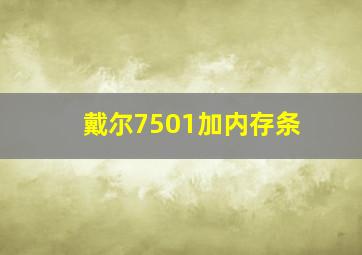 戴尔7501加内存条